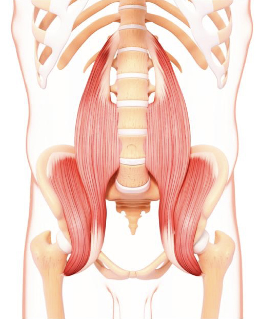 PoliambulatoriArcade_Fisioterapia_Donna_Pavimento_Pelvico_01